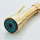 Torneira Gourmet De Parede Extensível Spray Agua Fria Napoli