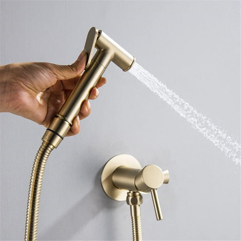 Ducha Higienica Inox Para Banheiro Monocomando AquaMix