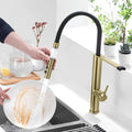 Torneira Gourmet Cozinha Inox Monocomando Filtro Fluvia