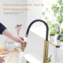 Torneira Gourmet Cozinha Inox Monocomando Filtro Fluvia