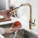 Torneira Gourmet Extensível Monocomando Venzale