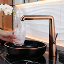 Torneira Para Banheiro Monocomando Lavatório Inox Lumière