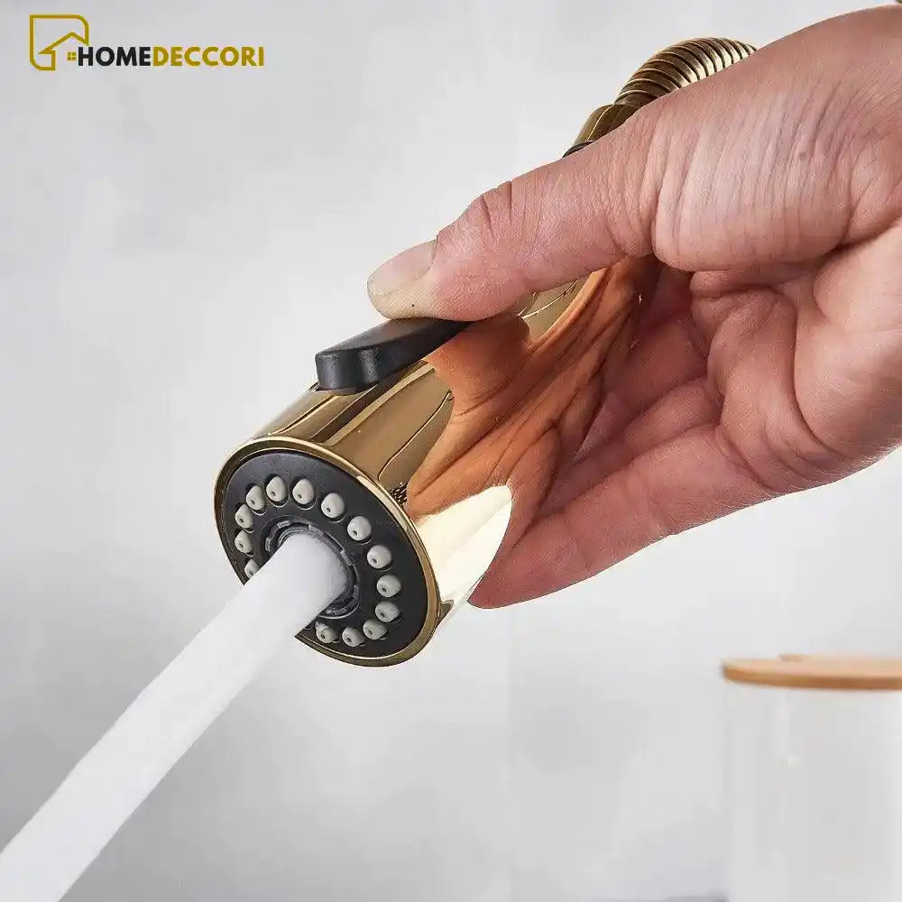 Torneira Gourmet Moderna Extensível Monocomando Misturador Gourmet Arch - Homedeccori
